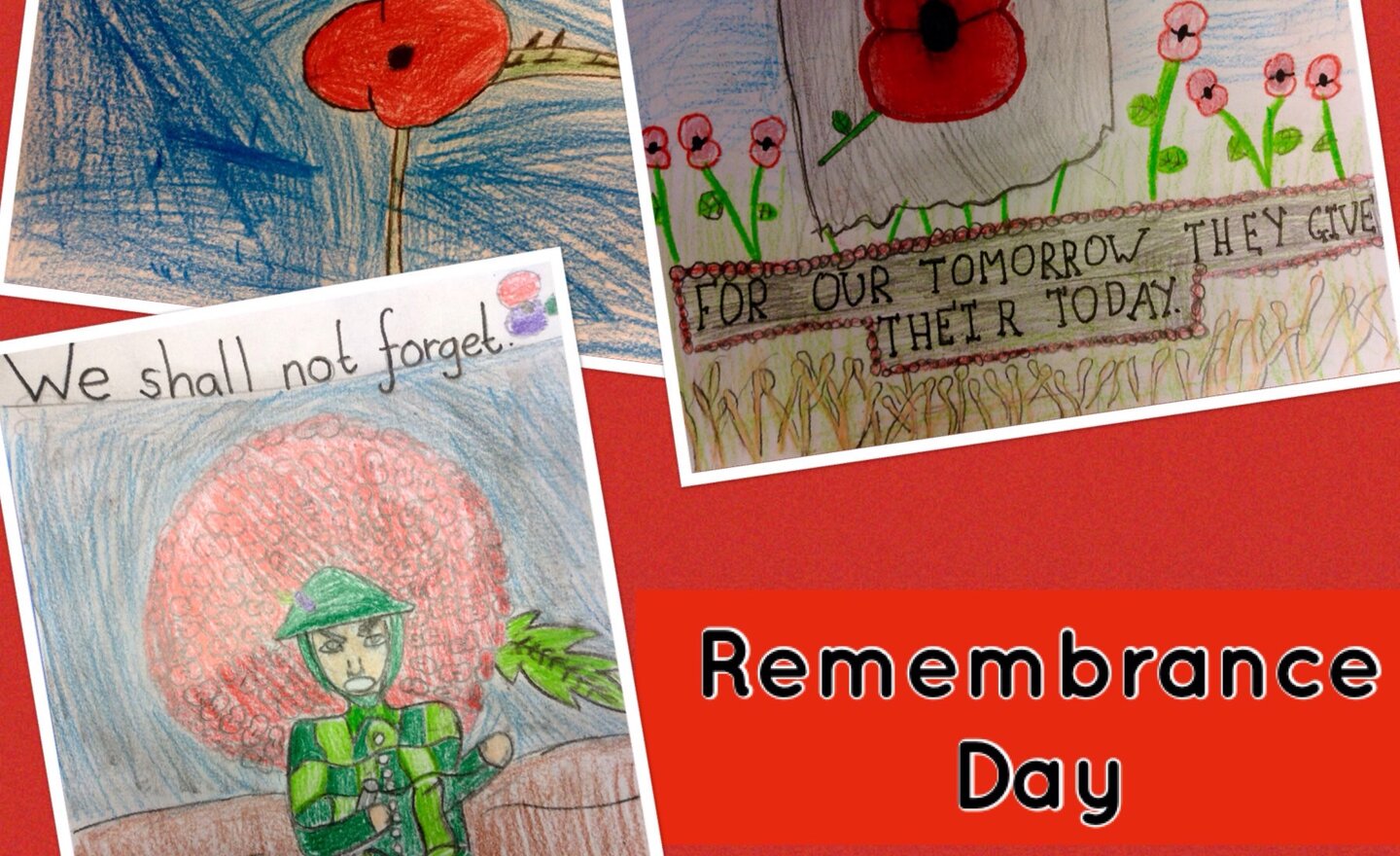 Image of Remembrance Day